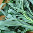 <!-- AddThis Sharing Buttons above -->Also known as: Ipomoea aquatica, water spinach, Chinese spinach, Thai: phak bung ผักบุ้ง Ipomoea aquatica is an easy-to-grow, semi-aquatic plant that has found its way into many Asian cuisines. The […]<!-- AddThis Sharing Buttons below -->
                <div>
                    <a class="addthis_button" href="//addthis.com/bookmark.php?v=300" addthis:url='https://www.momschinesekitchen.com/ong-choy-morning-glory-greens/' addthis:title='Ong Choy (Water Morning Glory)'>
                        <img src="//cache.addthis.com/cachefly/static/btn/v2/lg-share-en.gif" width="125" height="16" alt="Bookmark and Share" style="border:0"/>
                    </a>
                </div>