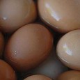 Salted eggs are raw eggs that have been brined. After brining, the yolks become firm, have a salty taste, and turn a bright red-orange color. The eggs can be added […]